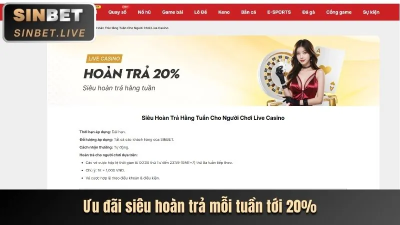 Hoàn trả cược 23.bet Win
